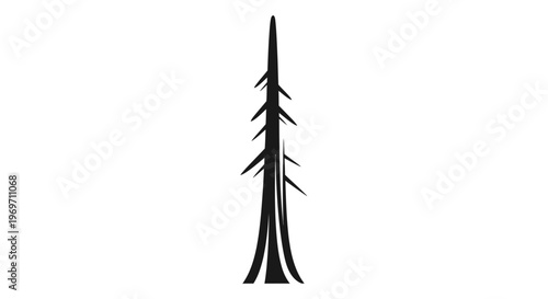A stark, minimalist silhouette of a tall, slender coniferous tree, its branches reaching upwards like skeletal fingers against a white background.
