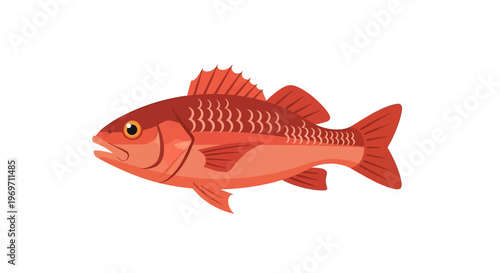A vibrant illustration of a red snapper fish swimming in clear water, showcasing its scales and fins.