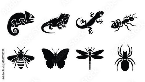 A collection of black silhouettes depicting various reptiles and insects including a chameleon ant and dragonfly silhouette high quality professional detailed