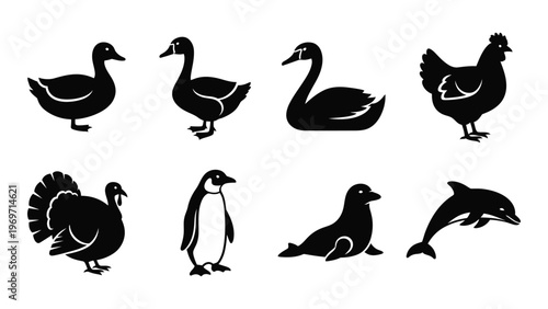 A collection of black silhouettes depicting various waterfowl poultry and marine animals in a simple style silhouette high quality professional detailed