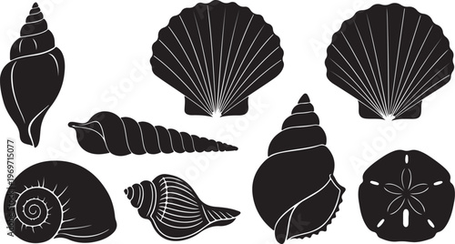 shell vector icon, scallop shellfish pearl logo, black line icon, sea shell symbol