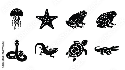 A collection of black silhouettes depicting various marine and terrestrial animals including frogs snakes and turtles silhouette high quality professional detailed