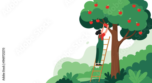 Woman standing on a wooden ladder picks ripe red apples from a large tree in a lush green orchard for harvest season.