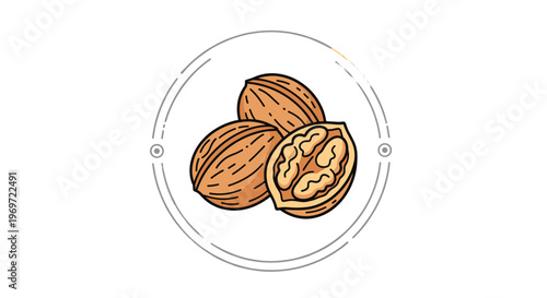 Detailed walnut icon featuring two whole wrinkled shells and one half nut cracked open to show the kernel inside within a circular frame structure.