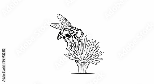 Line art shows a fly perched on a flower, with detailed wings and body