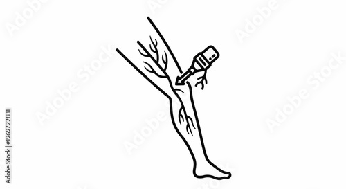 Line art shows a leg being injected near visible veins