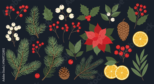 Beautiful collection of Christmas botanical elements including pine branches, red berries, poinsettia flowers, orange slices, and pine cones for decor.