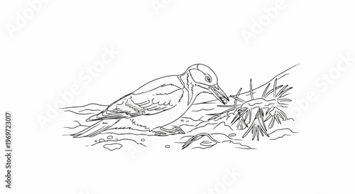 Line drawing of a bird pecking at a spiky plant, on a textured ground