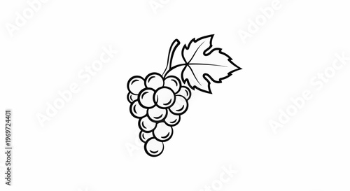 Simple line art of a cluster of grapes with a single leaf