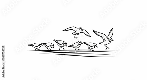 Flock of birds by water, some foraging, some flying