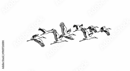 Flock of cranes in flight, rendered in a graphic, sketched style