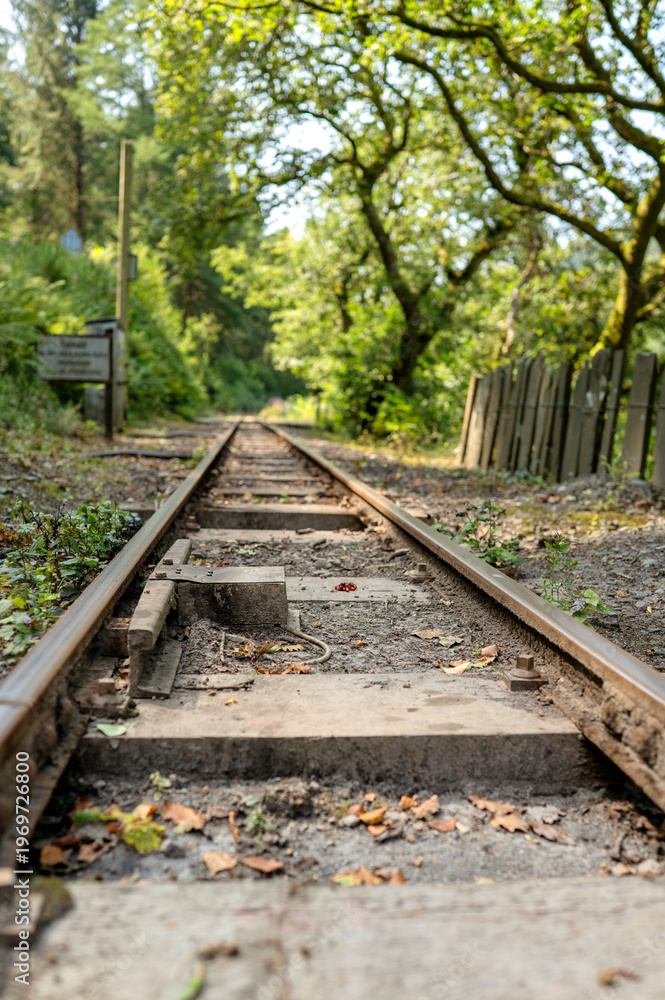 Obraz premium Close perspective of worn rail line surrounded by trees and foliage in quiet countryside