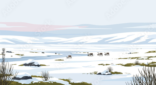 Wild Reindeer Herd Grazing in Snowy Arctic Tundra Landscape