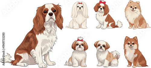 Set of 7 Illustrations of Small Dog Breeds: Cavalier King Charles Spaniel, Shih Tzu, and Pomeranian, Vector Art
