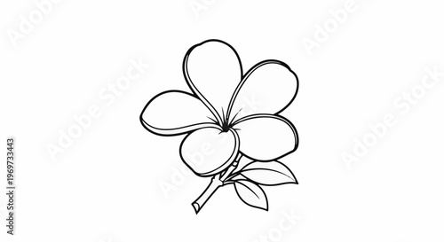 Single black and white illustration of a tropical flower with five petals