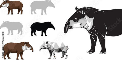Set of 7 Illustrations of Tapirs in Different Styles: Realistic, Geometric, and Silhouettes, Vector Art