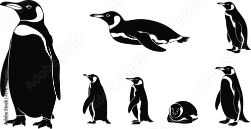Penguin silhouettes collection featuring standing, swimming, and resting poses, black-and-white vector illustration set for wildlife, arctic animals, nature, birds, and cold climate themes