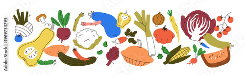 Farm vegetables, horizontal composition. Healthy natural food, harvest. Modern doodle style, veg diet nutrition, cauliflower, cabbage, corn. Flat vector illustration isolated on white background