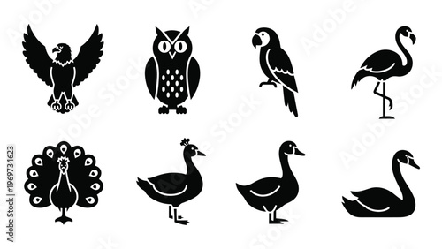 A collection of diverse bird species depicted in a minimalist black style showcasing elegant avian forms silhouette high quality professional detailed