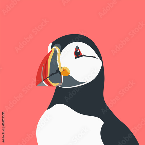 Puffin bird with striking multi-colored beak, shown in a close-up profile view, created in a clean vector art style against a coral pink backdrop.
