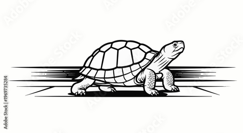 Silhouette of a tortoise walking forward, depicted in a minimalistic, graphic style