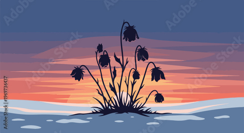 Silhouette of wilting flowers in a snowy landscape at sunset