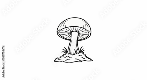 Simple black and white line drawing of a mushroom with gills