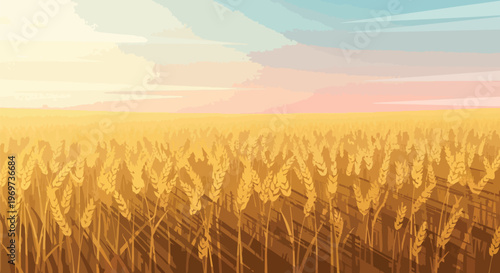Golden Wheat Field Landscape at Sunset Illustration