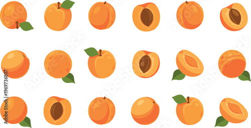 Peach Fruit Vector Set Featuring Whole, Sliced, and Pitted Illustrations with Fresh Orange Flesh and Green Leaves for Digital Media and Food Designs