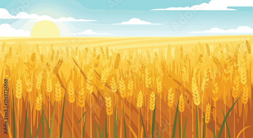 Golden Wheat Field Landscape at Sunrise Vector Illustration