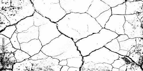 Organic cracked earth texture with natural fracture lines in bold monochrome, ideal for geological themes, decay concepts, or rustic background elements.	