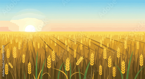 Golden Wheat Field at Sunset Vector Illustration