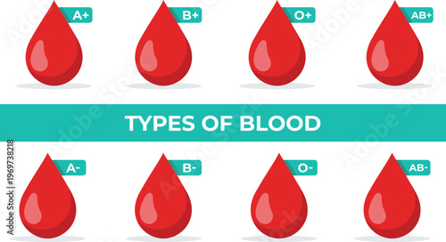 Blood types vector illustration set with A, B, AB, O groups, red drops isolated on white, medical infographic design