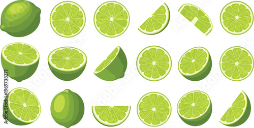 Lime Fruit Vector Set with Various Whole, Sliced, and Wedge Illustrations Featuring Bright Green Color for Digital Media, Culinary Designs, and Websites