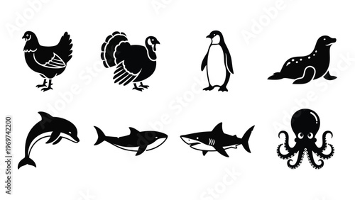 A collection of various marine and avian animals depicted in stark black forms creating a striking silhouette high quality professional detailed