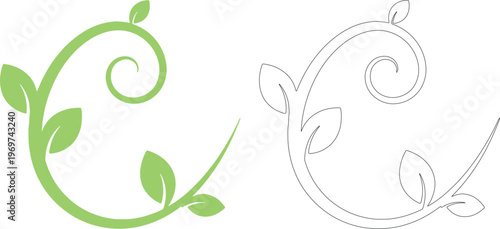 Green vine swirl with leaves and outline version leaf