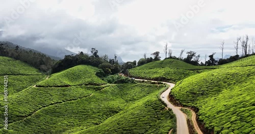 Wallpaper Mural Cinematic drone aerial view of rural road amidst Tea Plantation hill in Munnar, Kerala, India. Aerial view of a tea plantation in Munnar. The beautiful Western Ghats mountain range in Kerala Torontodigital.ca
