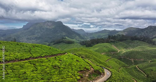 Wallpaper Mural  Circling  drone shotsof Tea Plantation hills in Munnar, Kerala, India. Cinemati Aerial View of Munnar. Aerial view of a tea plantation in Munnar. The beautiful Western Ghats mountain range in Kerala Torontodigital.ca