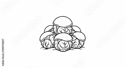 Stylized line drawing of a cluster of cabbages