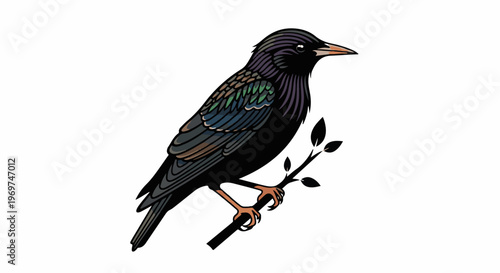 Stylized black bird with iridescent plumage perched on a small branch