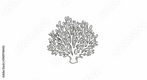Stylized black outline drawing of a branching coral formation on a white background