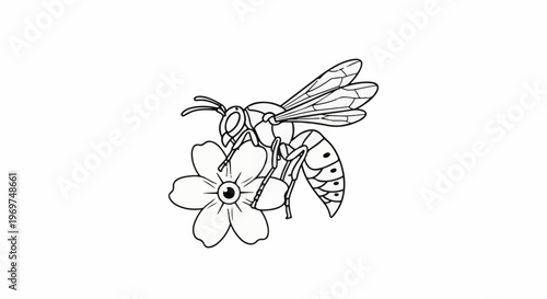 Stylized line drawing of a wasp on a flower with detailed wings