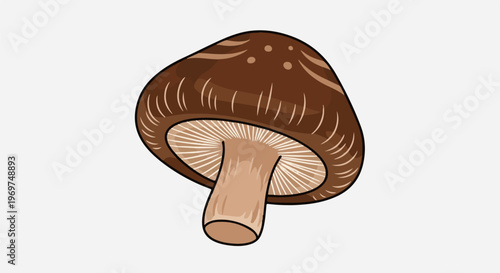 Stylized illustration of a brown mushroom with visible gills and a thick stem