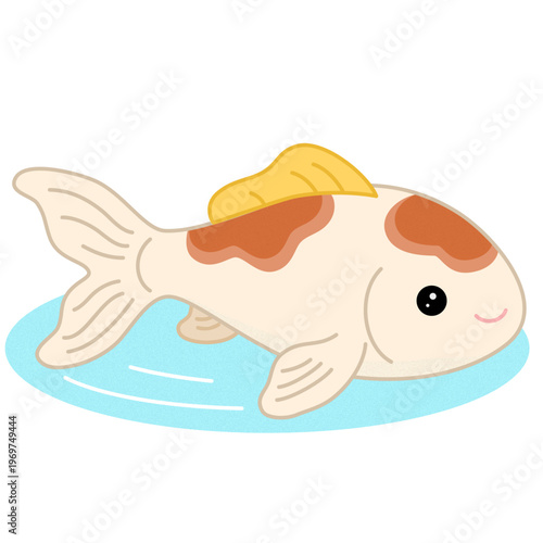 Cute carp