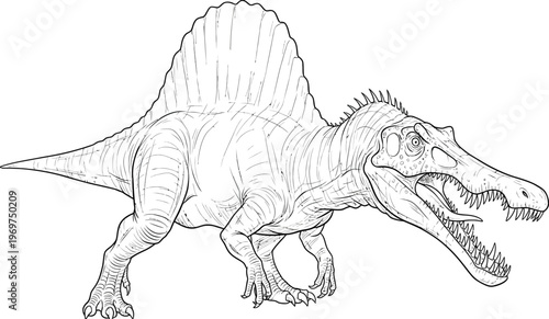 Spinosaurus dinosaur, prehistoric creature, line art illustration, black and white
