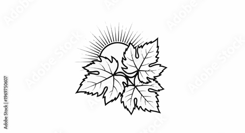 Stylized sun behind three grape leaves