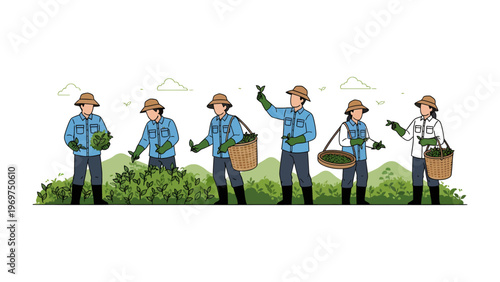Tea Harvesters in Action: Capturing the essence of a tea plantation, the scene unfolds with dedicated harvesters. They're diligently hand-picking fresh tea leaves. Each person embodies hard work.