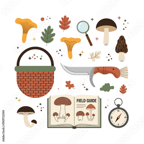 Flat Lay Vector Illustration of Mushroom Foraging Essentials
