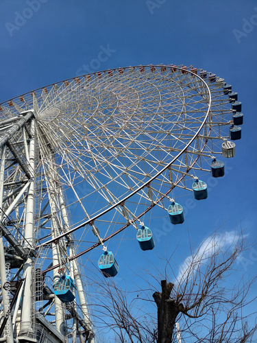 Giant Ferris wheel against a clear blue sky with bare tree branches in the foreground