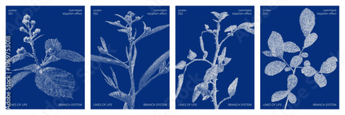 Cyanotype halftone overlay texture bg with leaves silhouettes. Vector soft blue wallpaper for template, graphic design projects, artworks